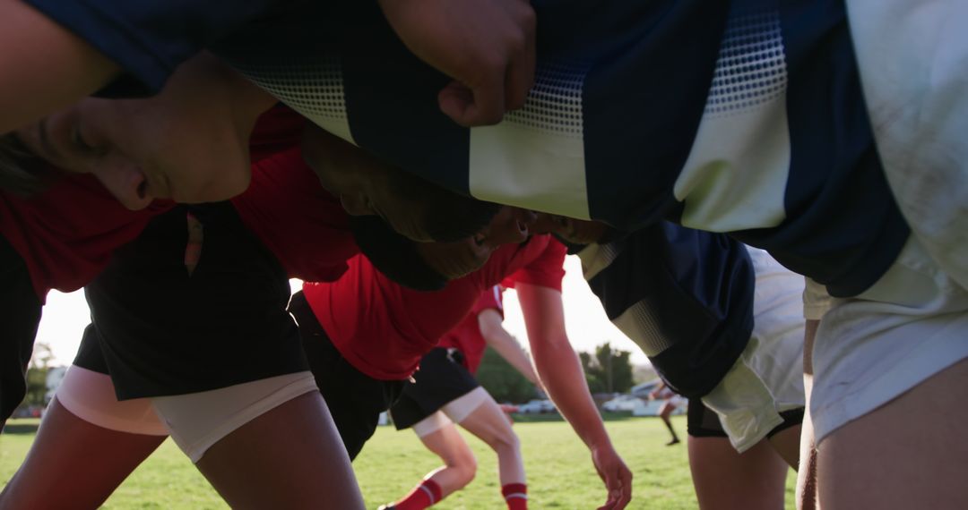 Rugby Players Engaged in Scrummage on Sunny Field - Free Images, Stock Photos and Pictures on Pikwizard.com