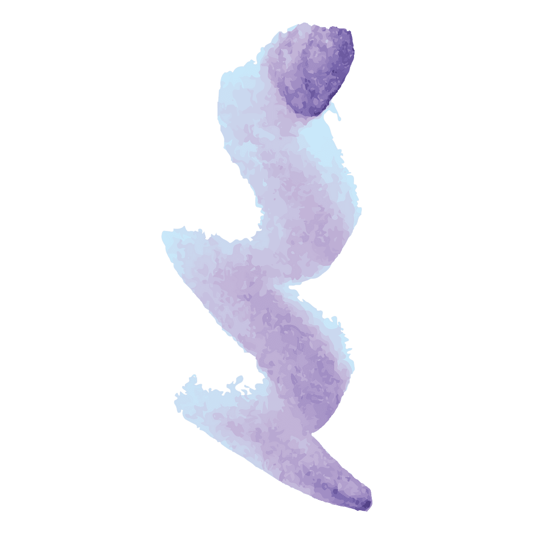 Intricate Blue Spiral with Transparent Background