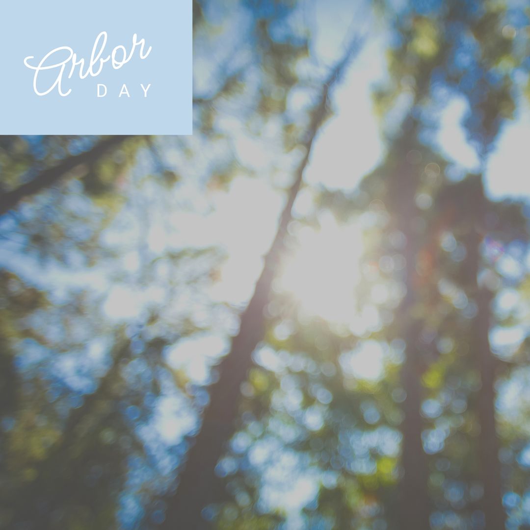 Sunny Forest for Arbor Day Nature Awareness Design