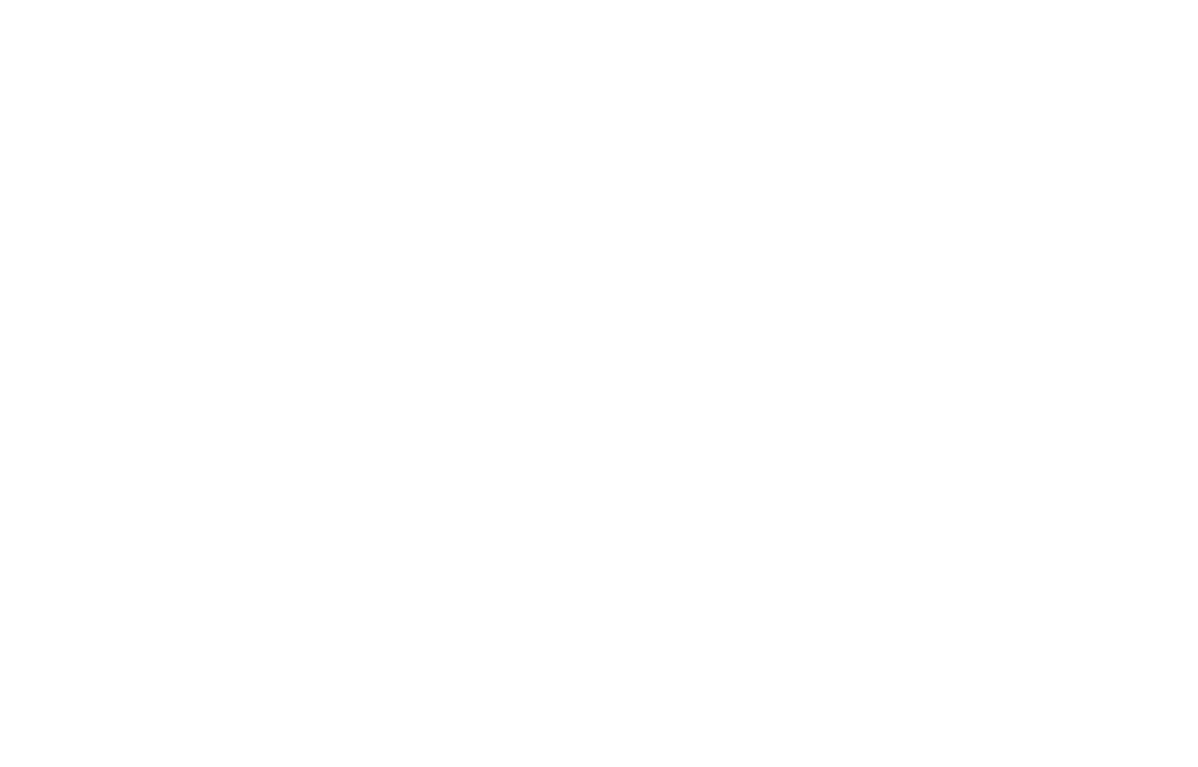 Detailed World Map Silhouette on Transparent Background