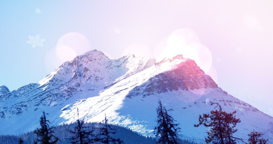 Snowy Mountain Landscape with Wintry Trees and Lens Flares