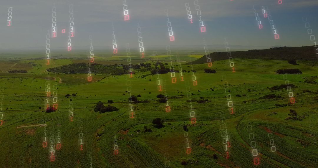 Digital Transformation in Agriculture Over Verdant Farmland