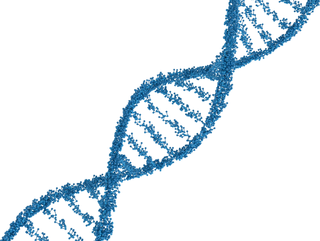 Transparent molecular blue DNA strand for genetics and medical research - Download Free Stock Images Pikwizard.com