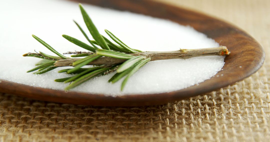 Fresh rosemary sprig on wooden spoon with salt background - Free Images, Stock Photos and Pictures on Pikwizard.com