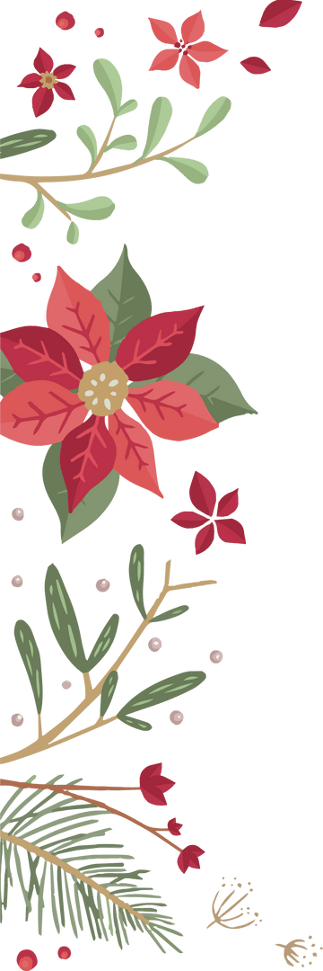 Floral Border with Red Star Flowers on Transparent Background