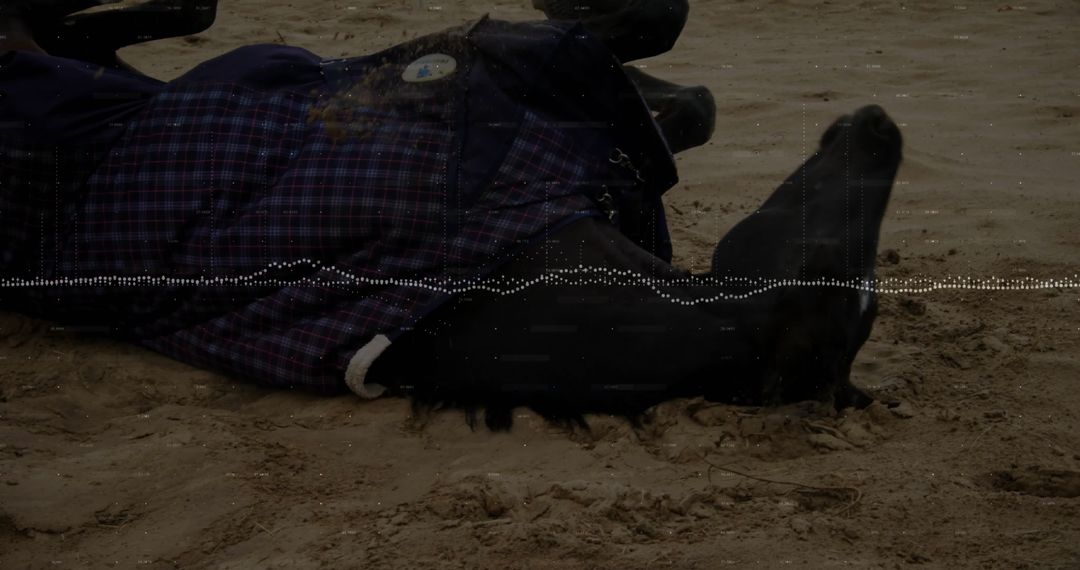 Person Relaxing on Sandy Beach in Dark Plaid Coat