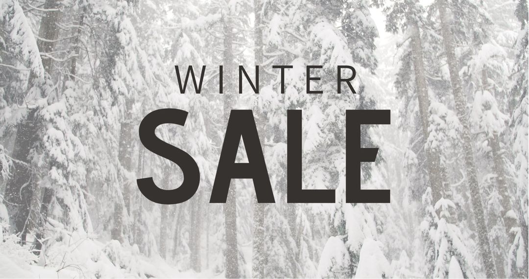 Winter Sale Text in Snowy Forest Scenery