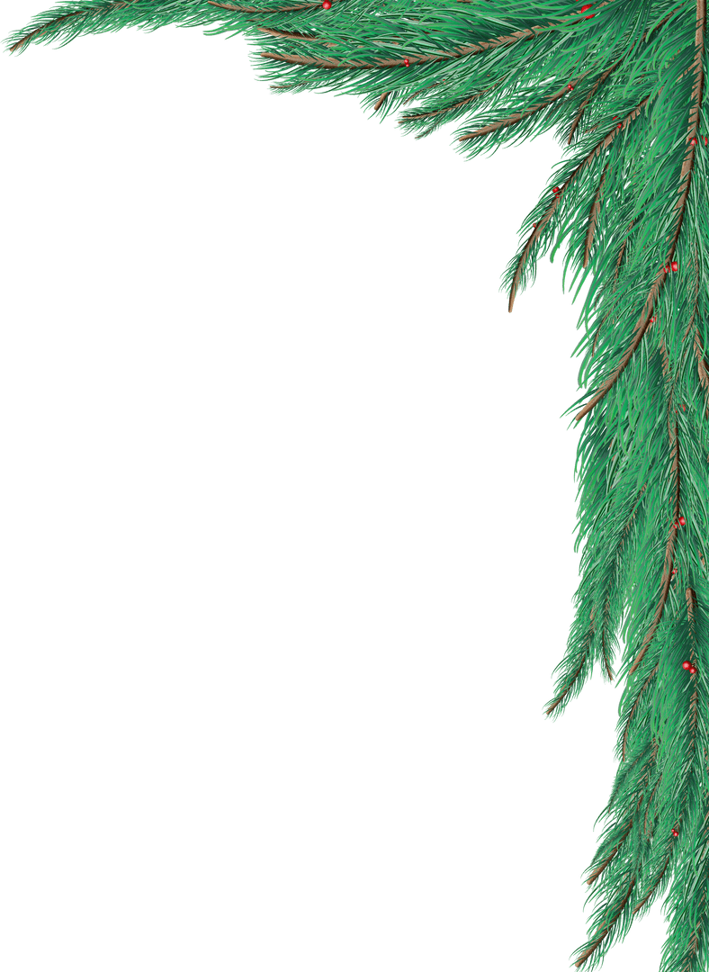 Transparent Christmas Tree Branch with Red Berries Corner Design