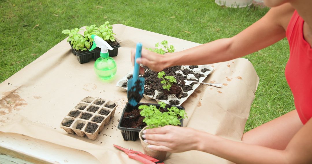 Female Gardener Repotting Seedlings in Outdoor Sanctuary
