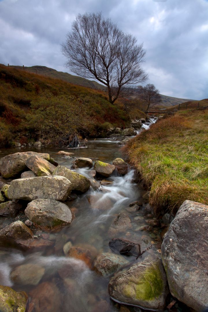 Serene Mountain Stream Flowing Through Rocky Landscape - Free Images, Stock Photos and Pictures on Pikwizard.com