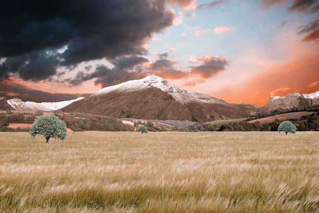 Transparent Mountainous Landscape with Isolated Trees
