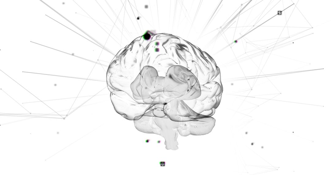 3D Human Brain with Network Connections on White Background