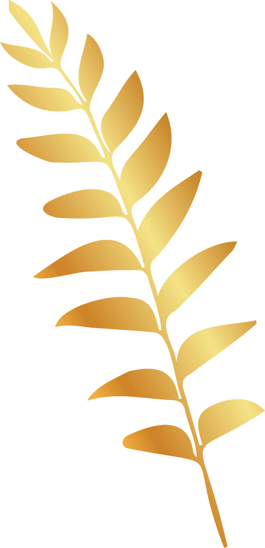 Golden Botanical Branch Ornament on Transparent Background