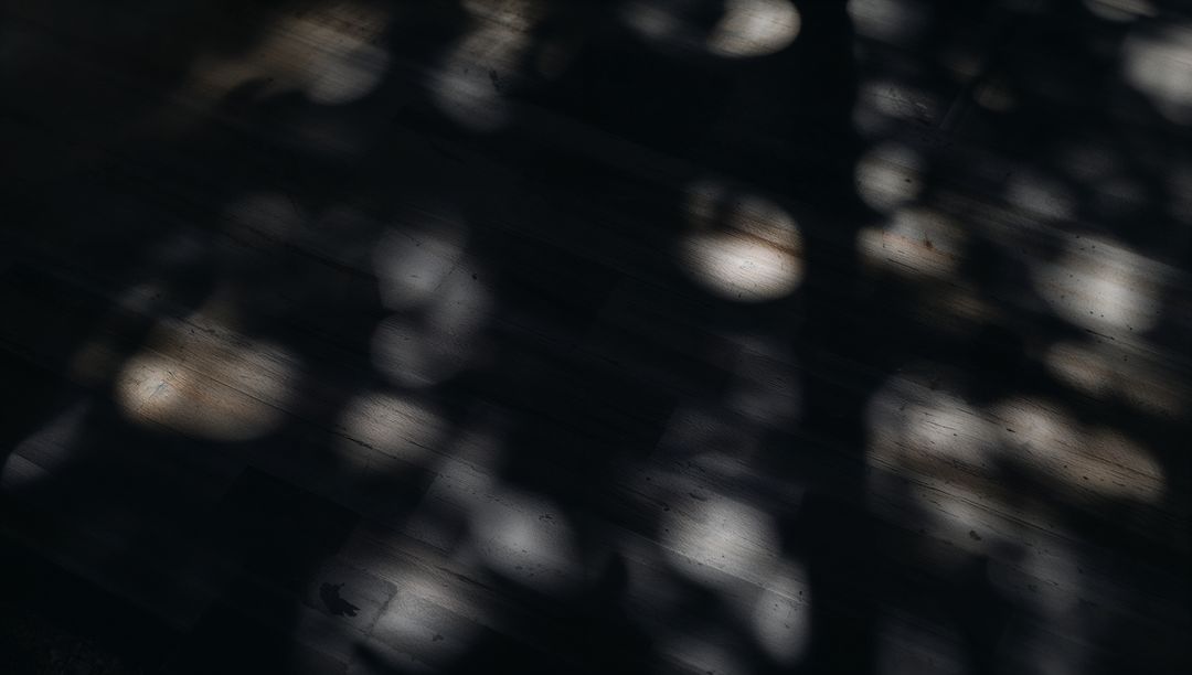 Dappled Sunlight Casting Leaf Shadows on Dark Wooden Plank Deck Creating Moody Texture