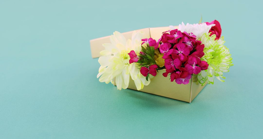 Colorful flowers arrangement in beige gift box on turquoise background - Free Images, Stock Photos and Pictures on Pikwizard.com