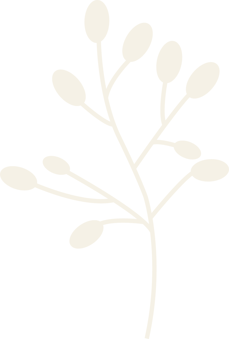 Minimalist Botanical Illustration with Stylized Branch and Oval Buds