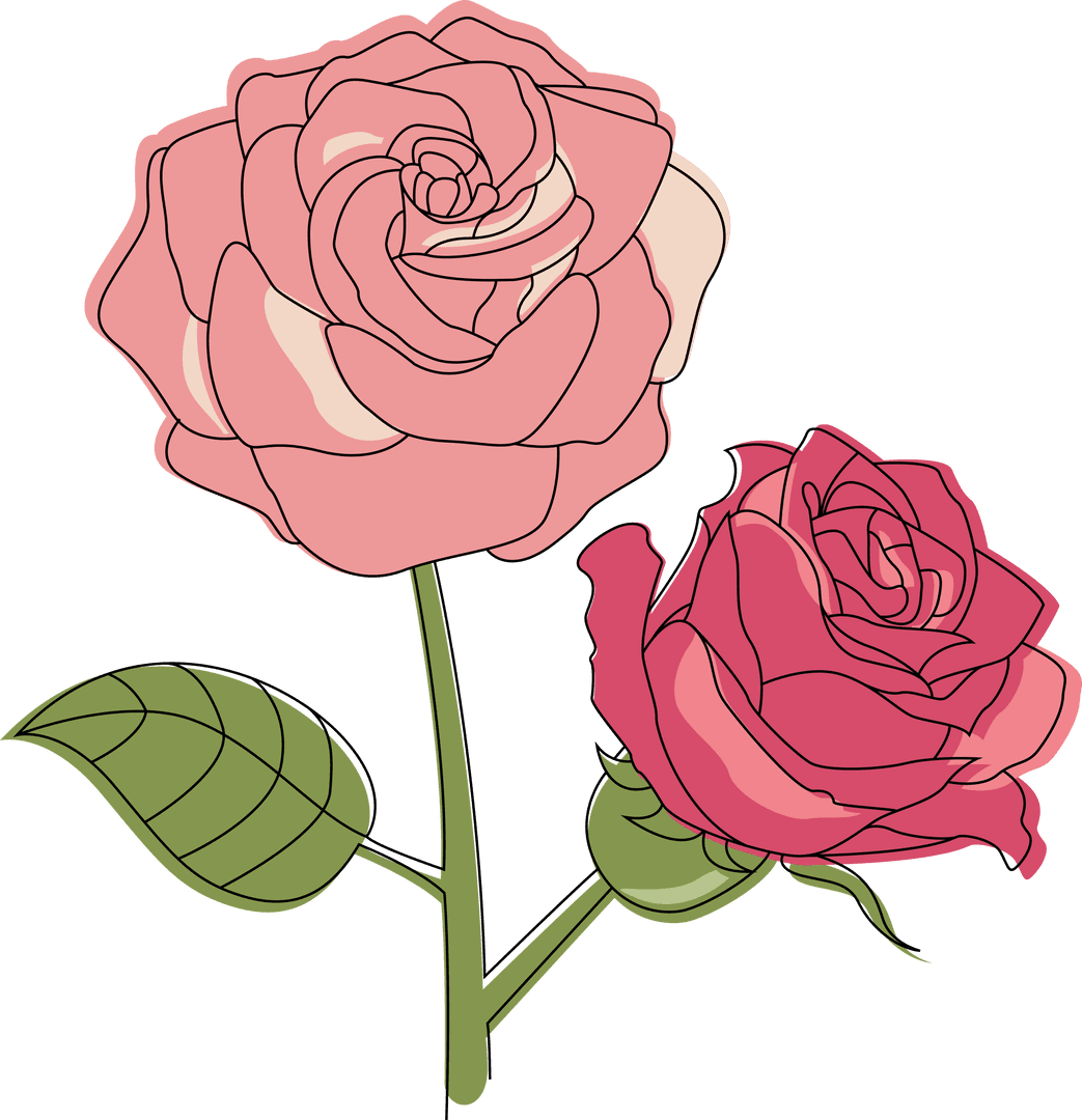 Elegant Pink Rose Illustration with Transparent Background