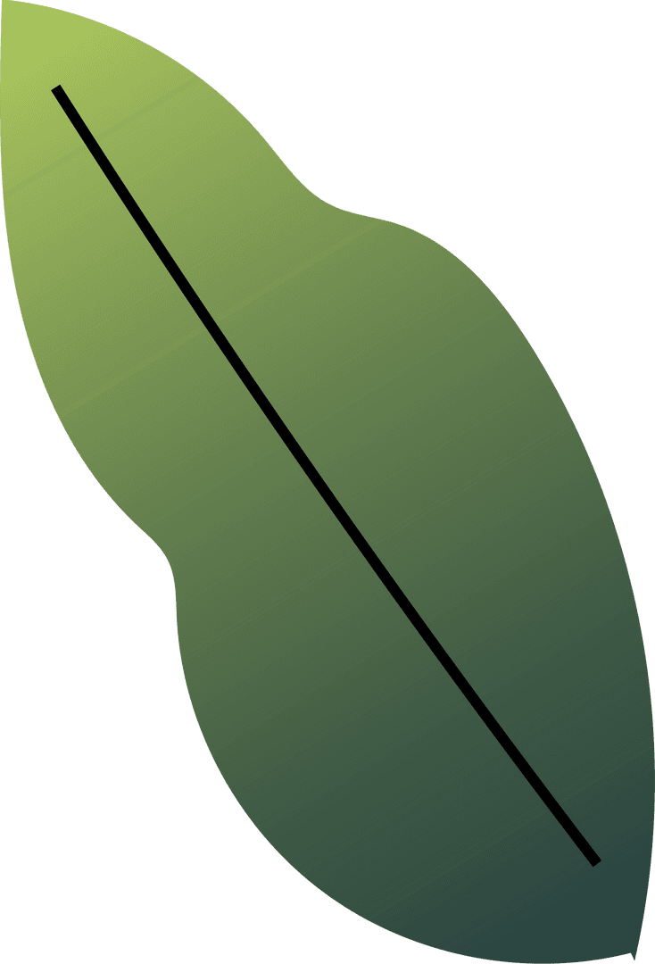 Abstract Green Leaf Shape with Black Vein on Transparent Background