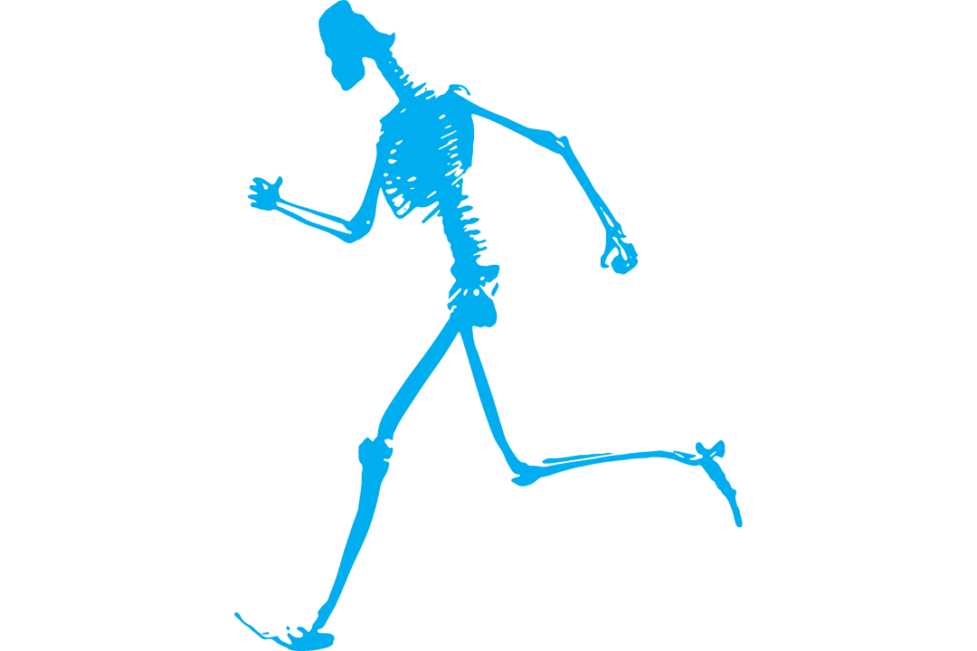 Transparent Silhouette of Skeleton Running with Athletic Pose