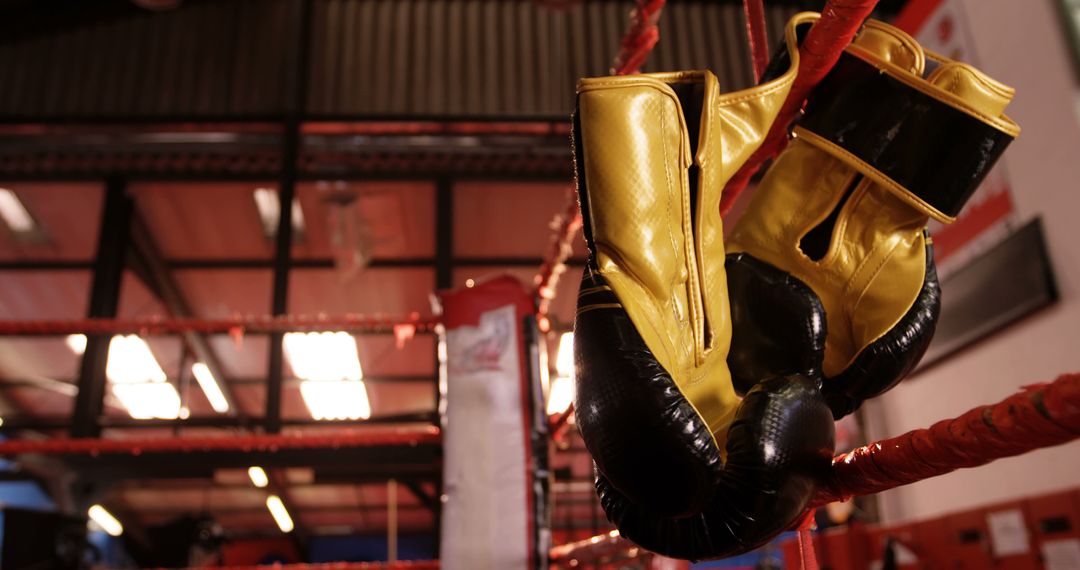 Yellow and Black Boxing Gloves Hanging in Ring - Free Images, Stock Photos and Pictures on Pikwizard.com