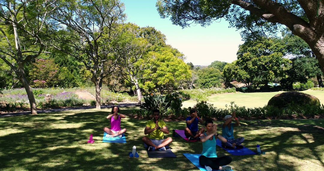 Group Yoga Session in Lush Green Park - Free Images, Stock Photos and Pictures on Pikwizard.com