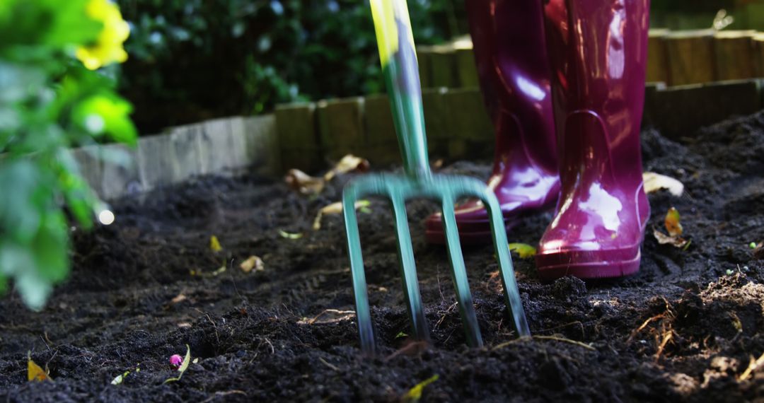 Gardener Digging Soil with Garden Fork While Wearing Red Rain Boots - Free Images, Stock Photos and Pictures on Pikwizard.com