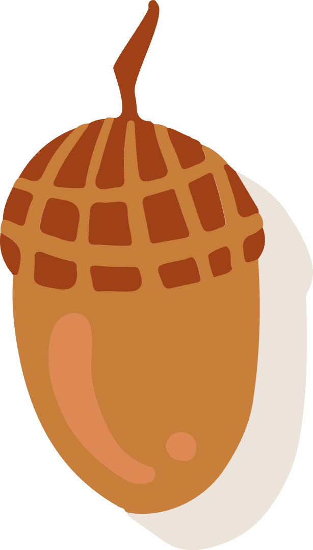 Stylized Acorn in Flat Design with Transparent Background