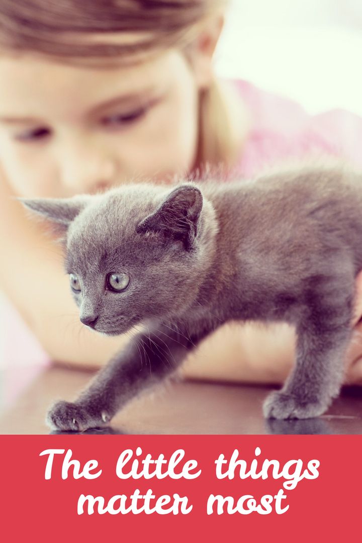 Child Gently Holding Kitten Promoting Mindful Compassion