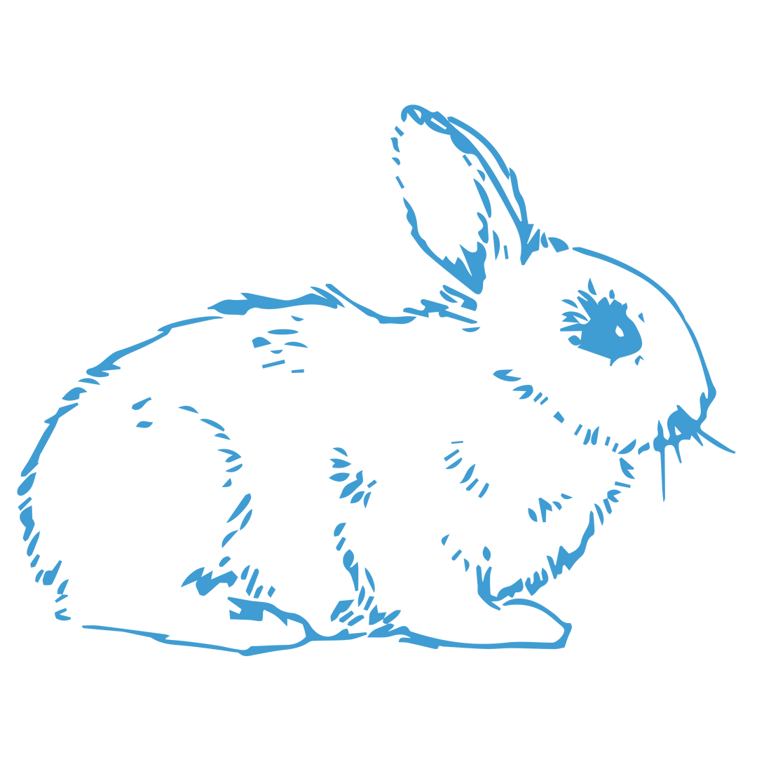 Transparent Blue Rabbit PNG Illustration - Download Free Stock Images Pikwizard.com