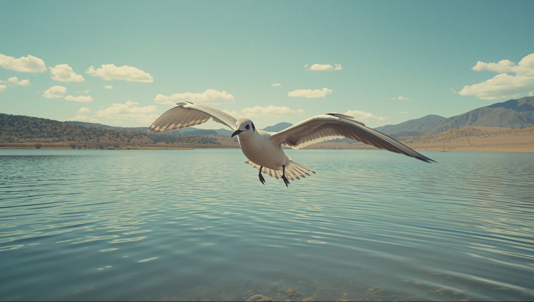 White Gull in Flight Over Tranquil Lake with Hills in Background