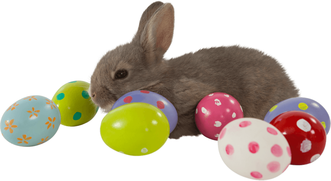 Cute Brown Bunny with Colorful Patterned Easter Eggs on Transparent Background