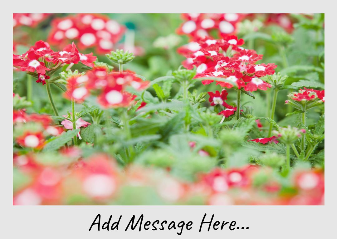Lush Red Flowers with Editable Message Area