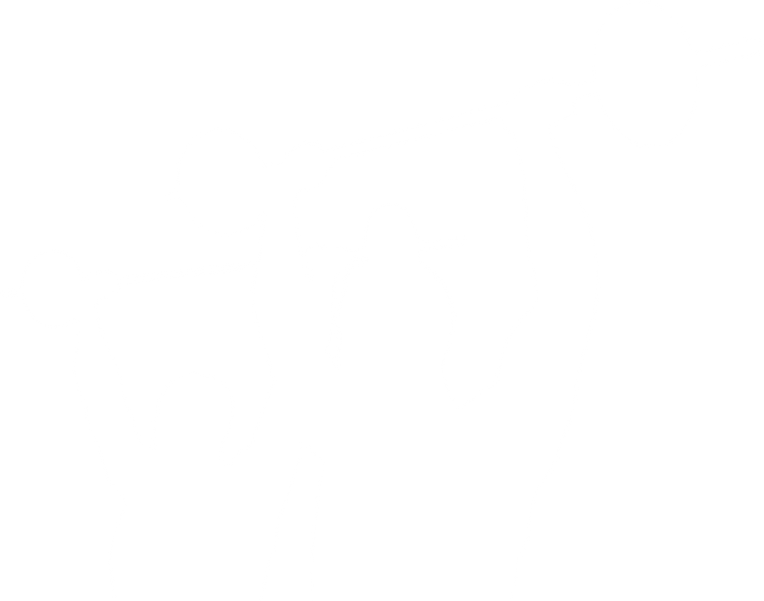 Silhouettes Lifting Barbells on Transparent Background Isolated Vector - Download Free Stock Images Pikwizard.com