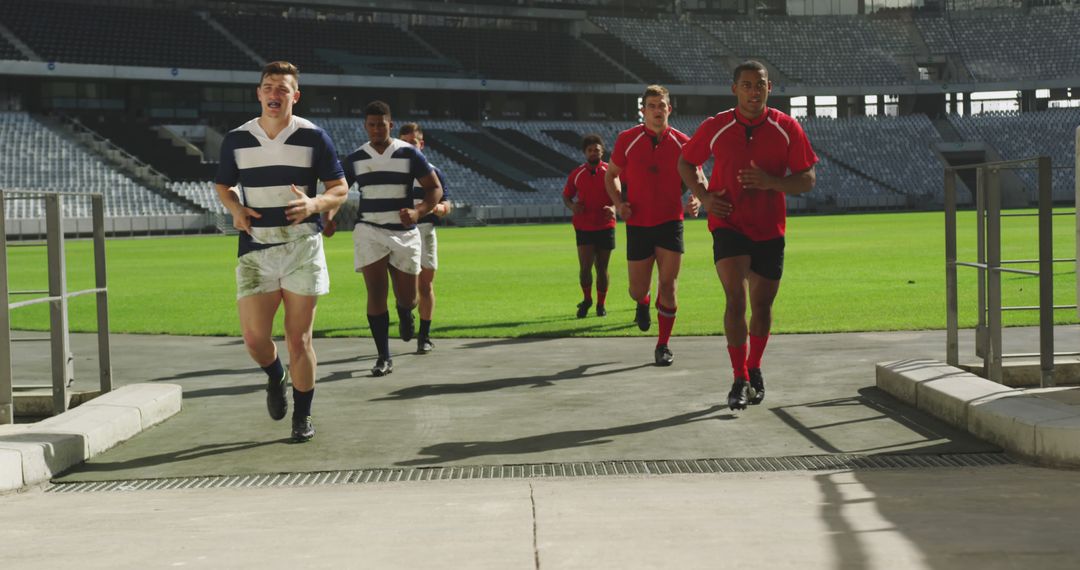 Rugby Players Jogging on Field During Training - Free Images, Stock Photos and Pictures on Pikwizard.com