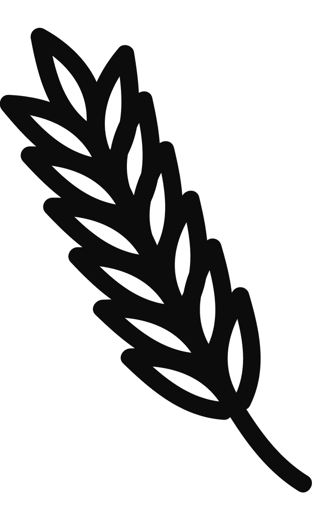 Transparent Cereal Symbol Vector for Agriculture Designs