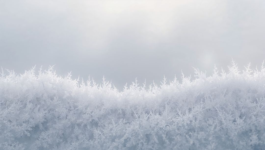 Glistening Hoarfrost Ridge Catching Soft Overcast Light Macro Dendritic Frost Texture