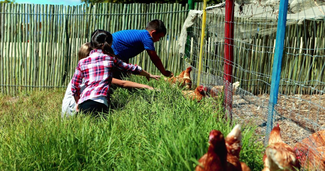 Children Engaging with Chickens in Rural Farm Setting
