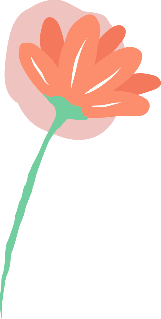 Flat Design Flower with Orange Petals on Transparent Background