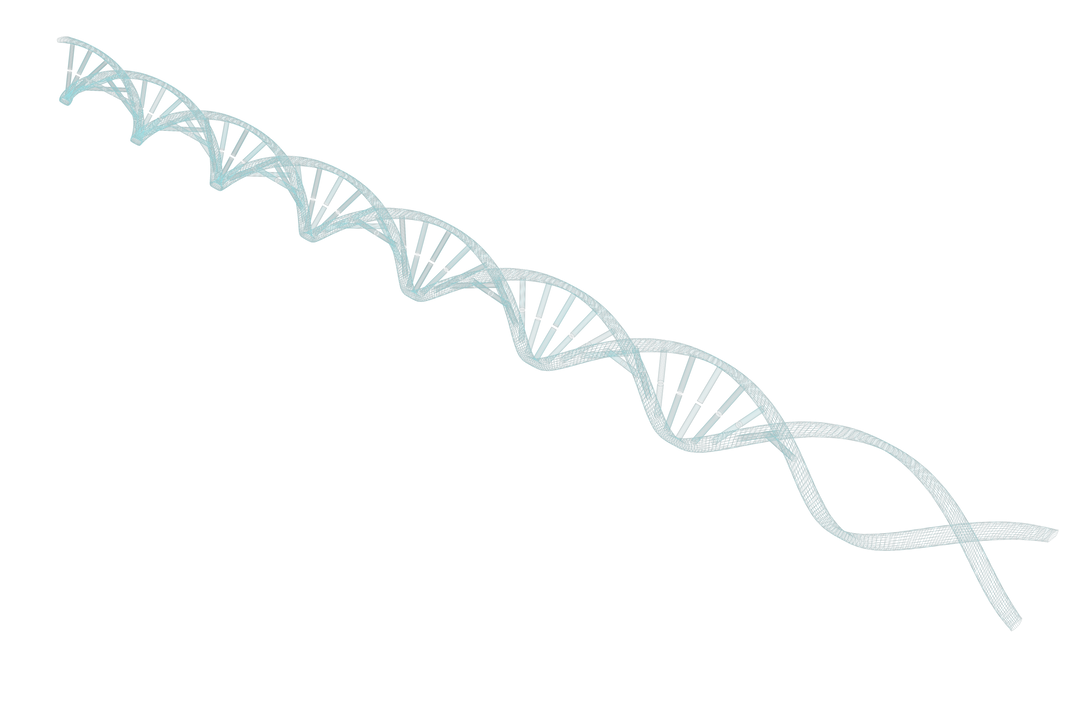 Transparent 3D DNA Helix Replication Structure - Download Free Stock Images Pikwizard.com