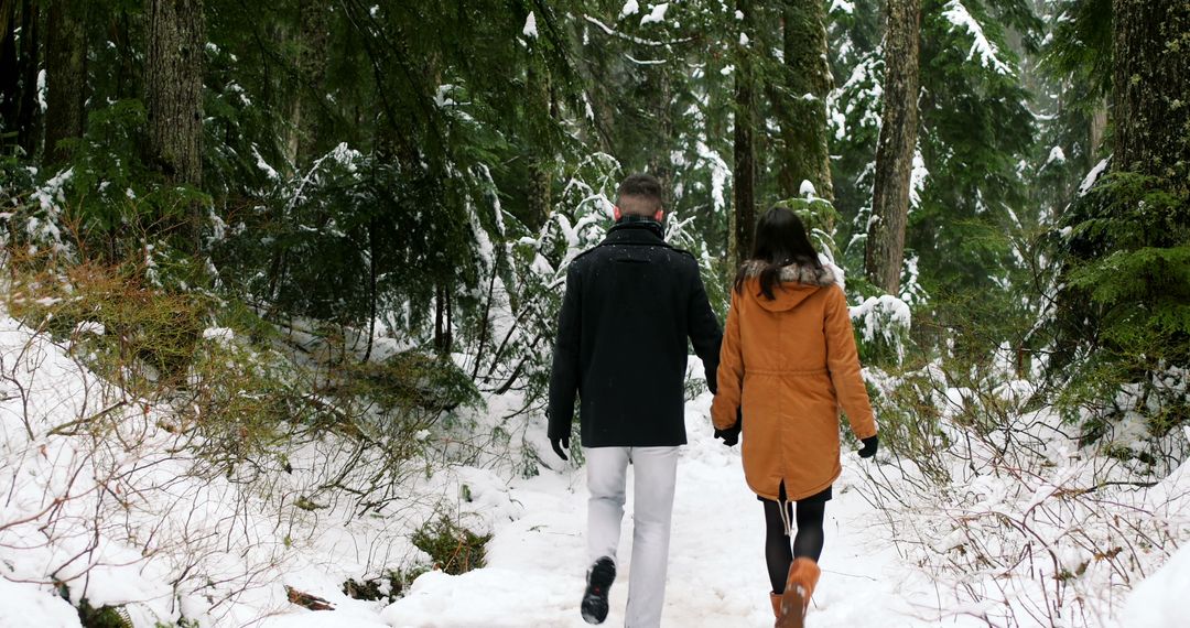 Couple Walking in Snowy Forest During Winter - Free Images, Stock Photos and Pictures on Pikwizard.com