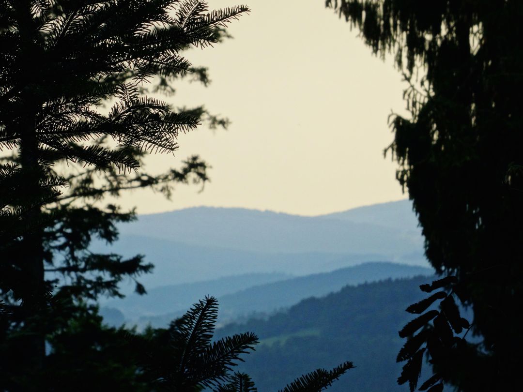 Layered Mountain Ridges with Pine Tree Silhouettes at Sunset - Free Images, Stock Photos and Pictures on Pikwizard.com