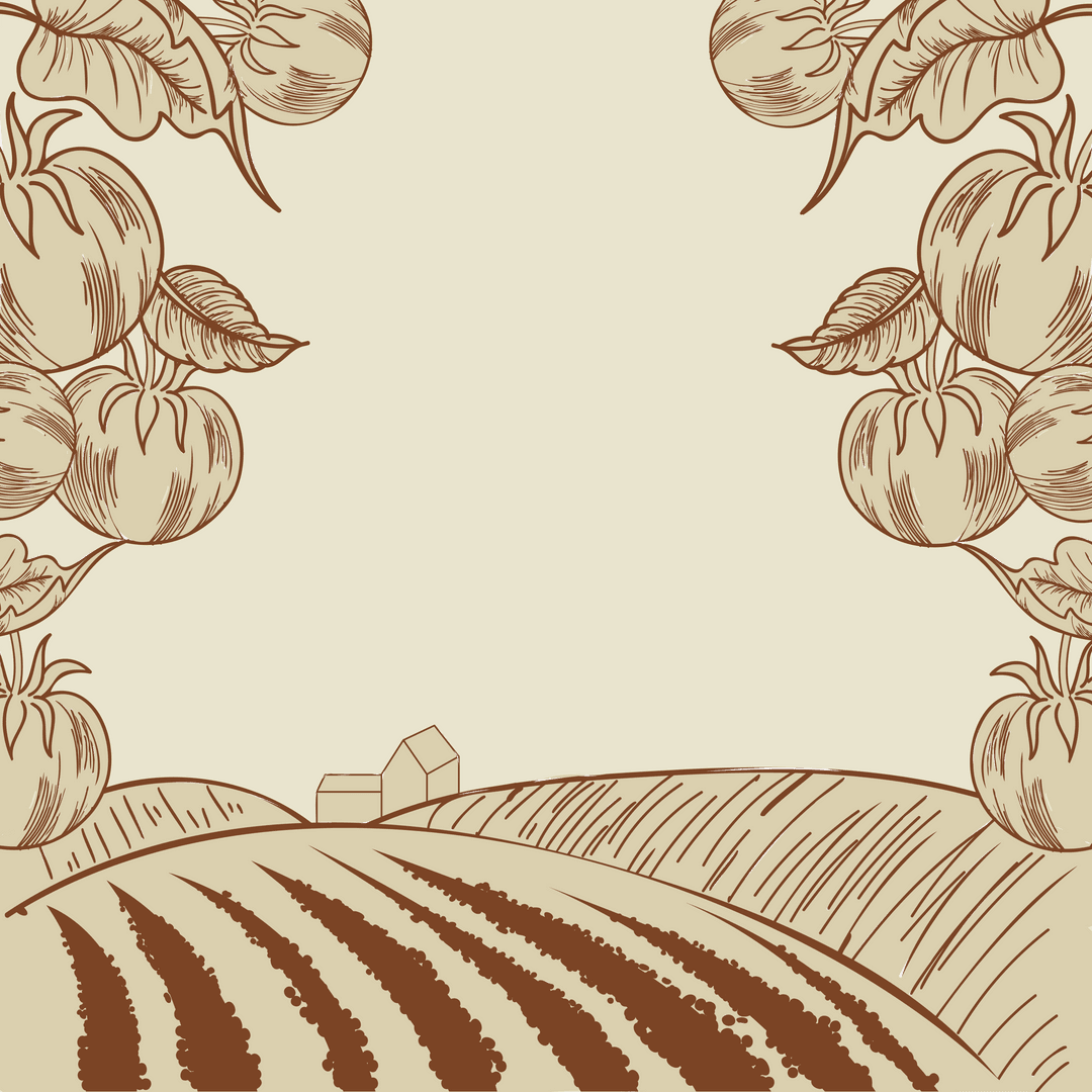 Transparent Landscape With Farm Fields and Countryside Elements