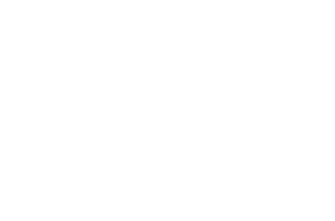 Transparent Geometric Octagonal Pattern Illustration