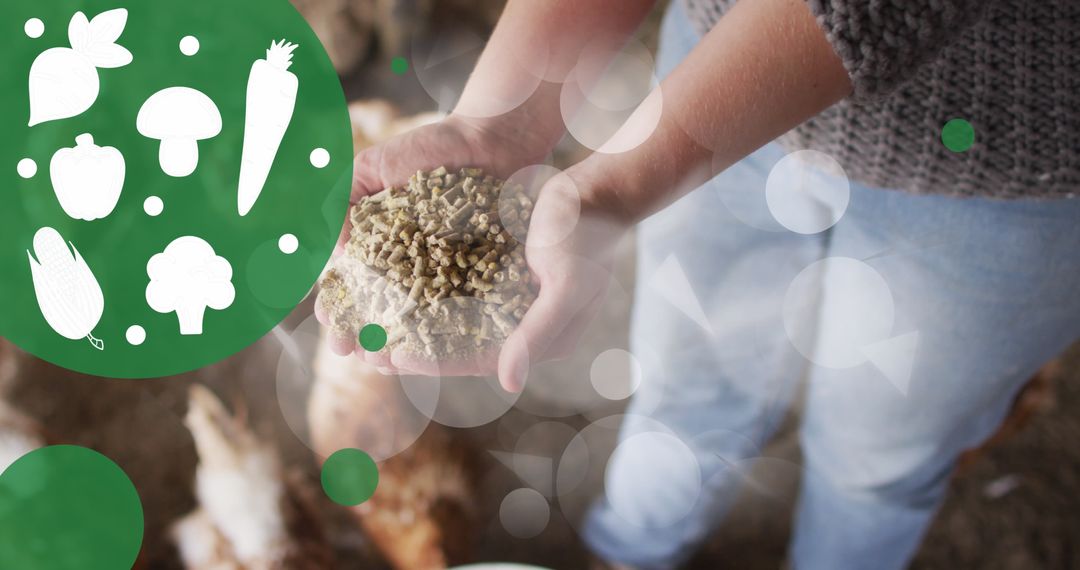 Woman Feeding Chickens in Poultry Farm with Vegetable Graphics
