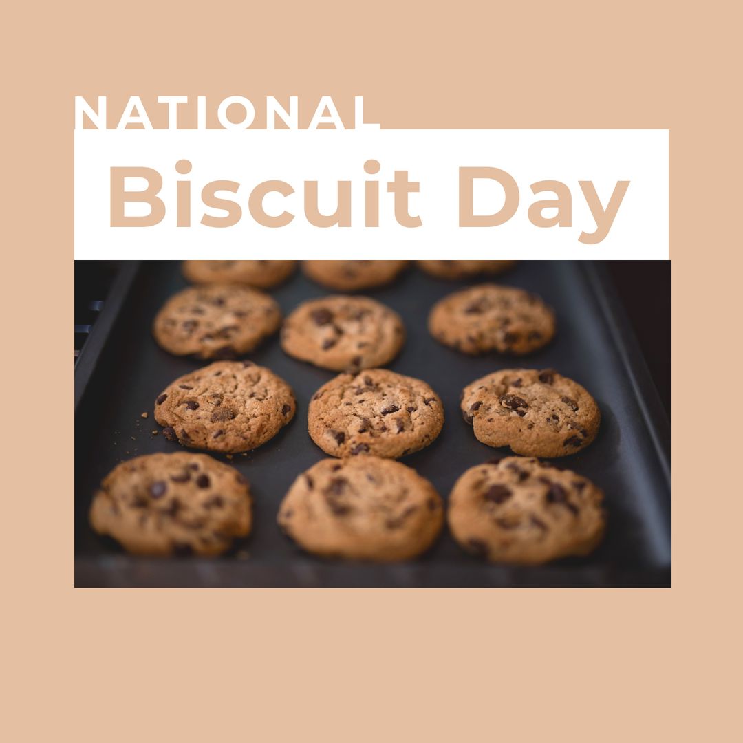 Celebrating National Biscuit Day with Fresh Chocolate Chip Cookies - Download Free Stock Templates Pikwizard.com