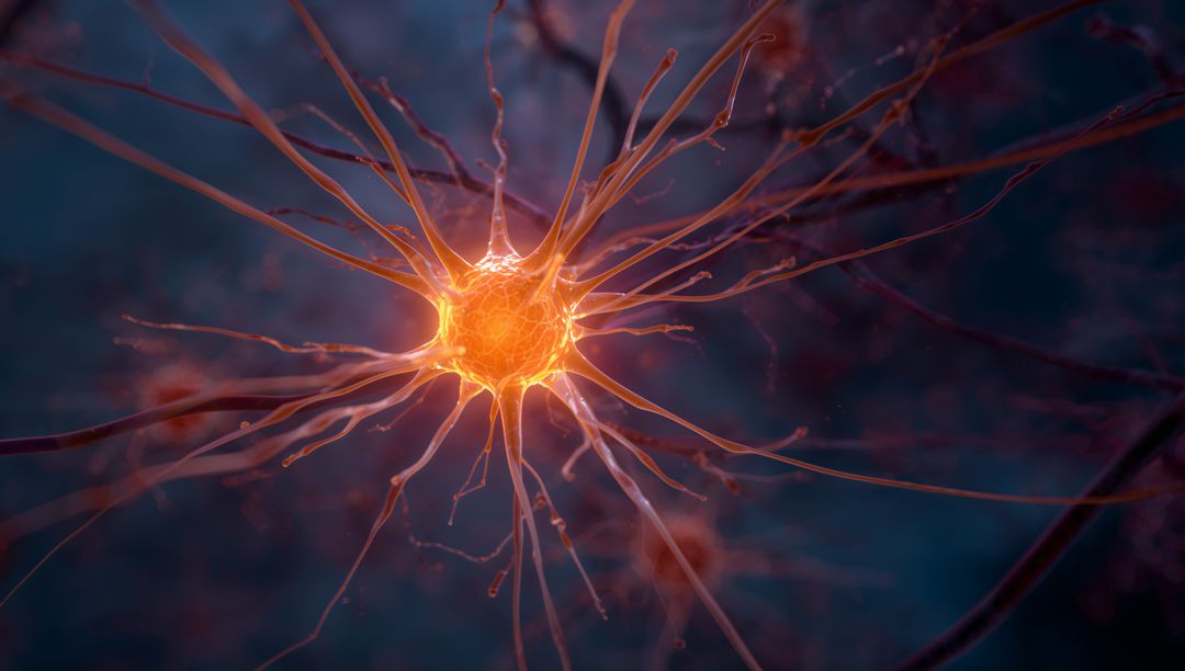 Vivid Neural Network Visualization Emphasizing Brain Neurons