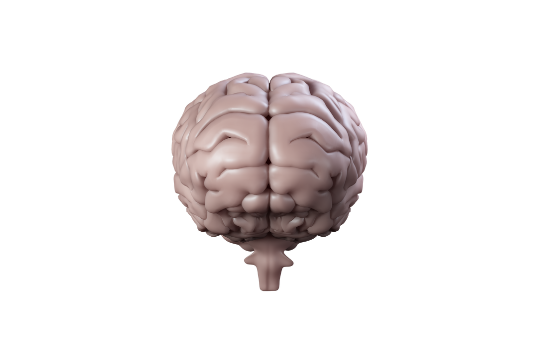 Transparent 3D Vector Illustration of Brain reflecting Knowledge and Intelligence Concept - Download Free Stock Images Pikwizard.com