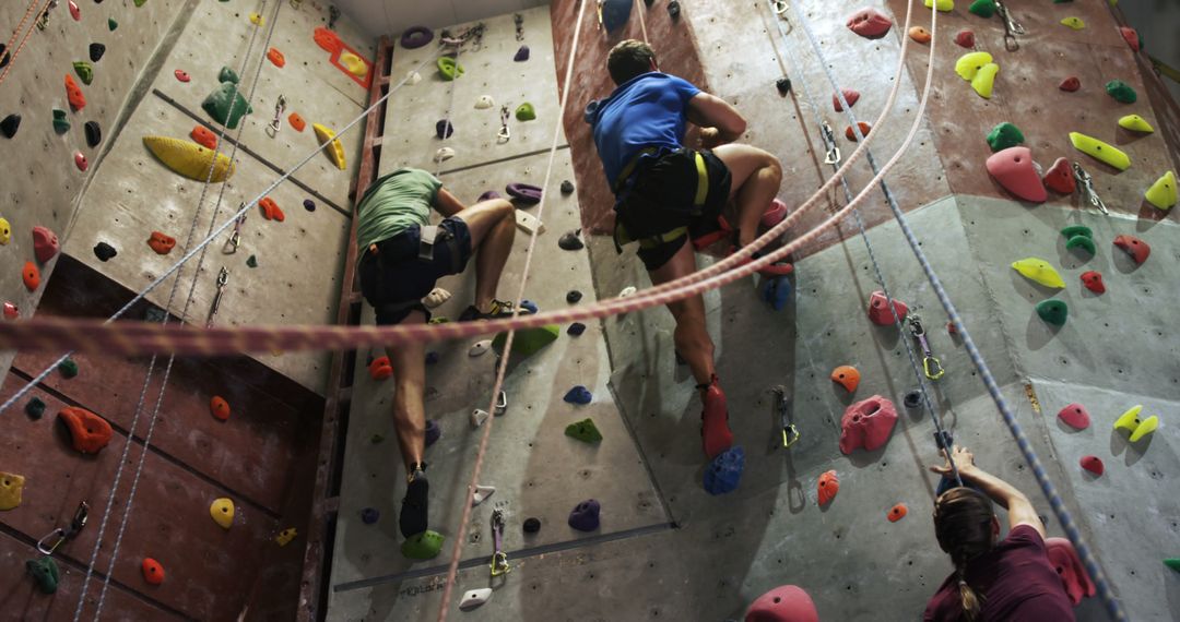 Group Rock Climbing Indoors on Colorful Climbing Wall - Free Images, Stock Photos and Pictures on Pikwizard.com