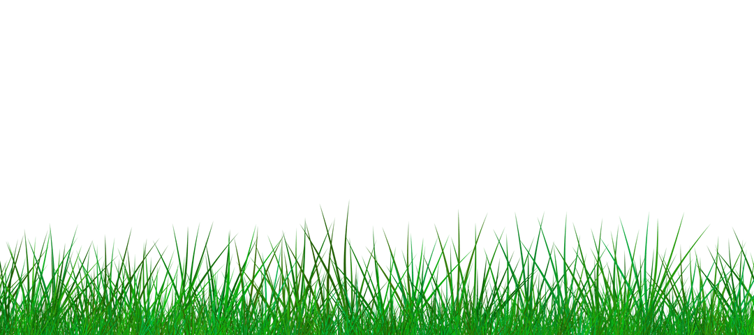 Lush Green Grass Border on Transparent Background for Nature Designs