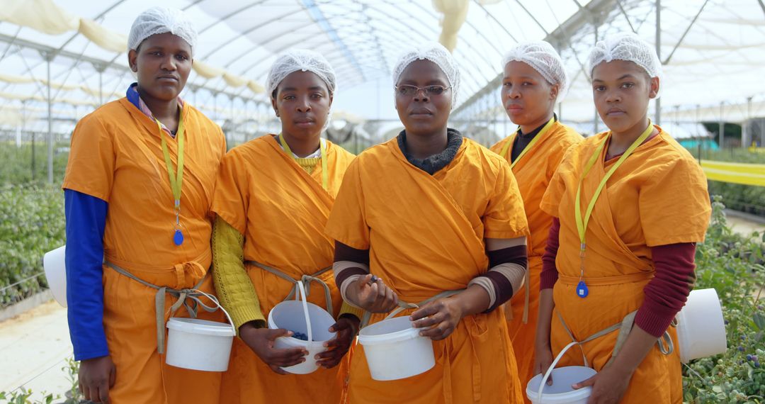 Female Agricultural Workers in Greenhouse with Containers - Free Images, Stock Photos and Pictures on Pikwizard.com